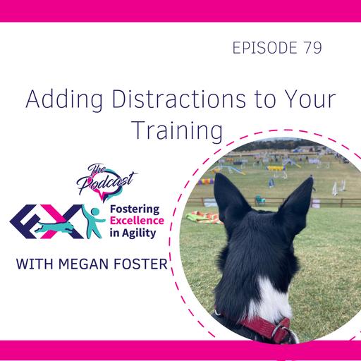 Adding Distractions to Your Training