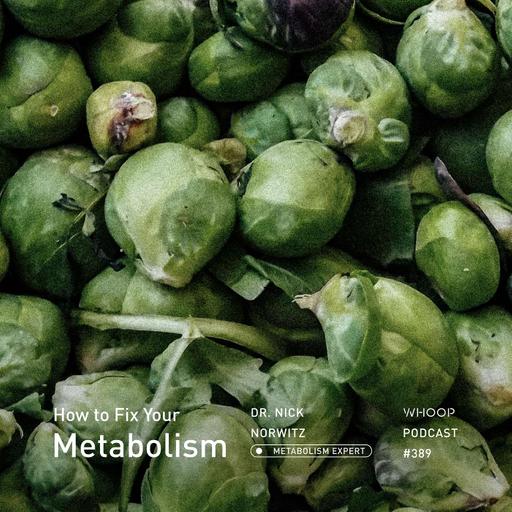 What You’re Getting Wrong About Metabolism (And How to Fix It) with Dr. Nick Norwitz