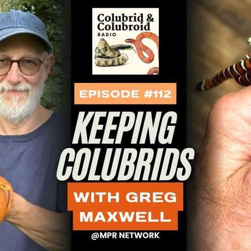 Keeping Colubrids with Greg Maxwell