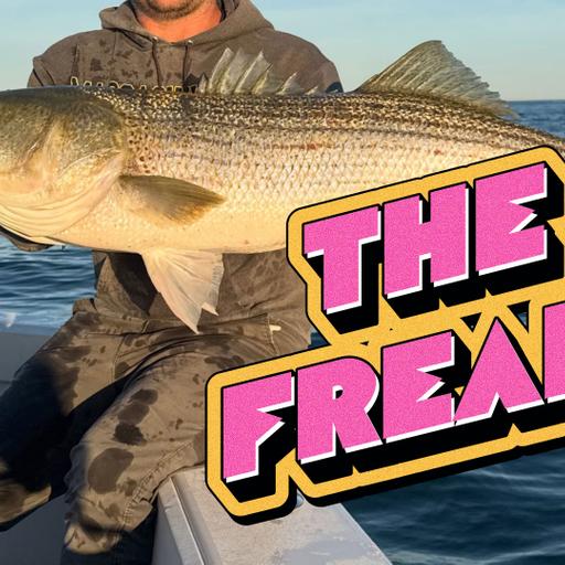 From Albie Snax to 14-Inch Spooks: Lure Design with Alex Peru