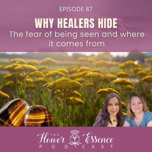 FEP87 Why Healers Hide: The fear of being seen and where it comes from