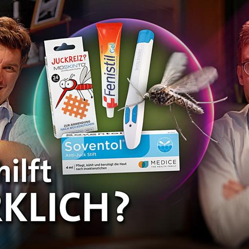 Die Akte Mückenstich: Womit geht der Juckreiz weg?