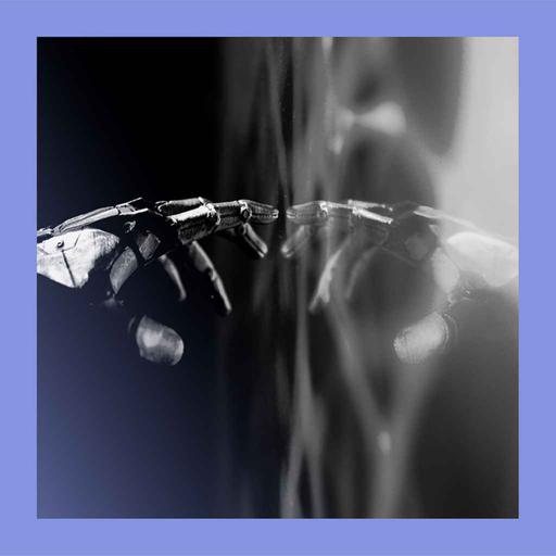 I, robot? AI and consciousness