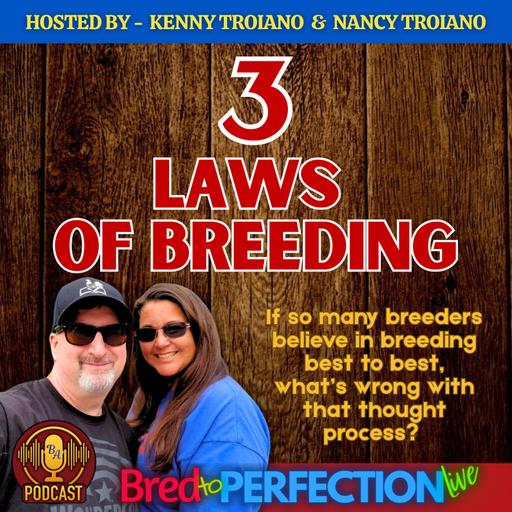 Ep300 - The 3 Laws of Selective Breeding