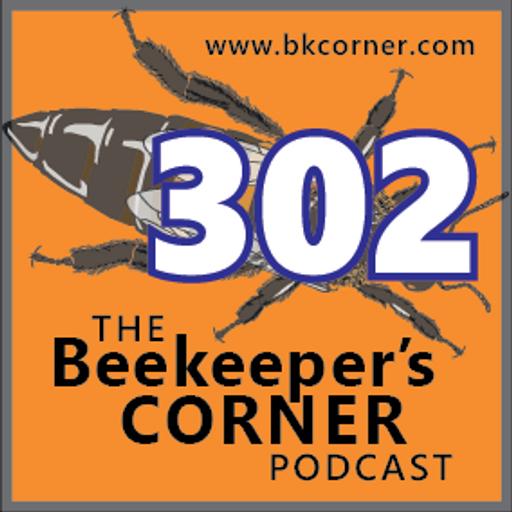 BKCorner Episode 302 - Reversed
