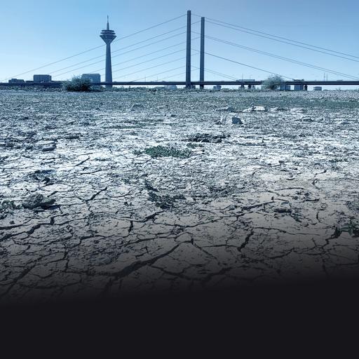 Dürre, Brände, Hitzetote: Weckruf für die Klimapolitik?