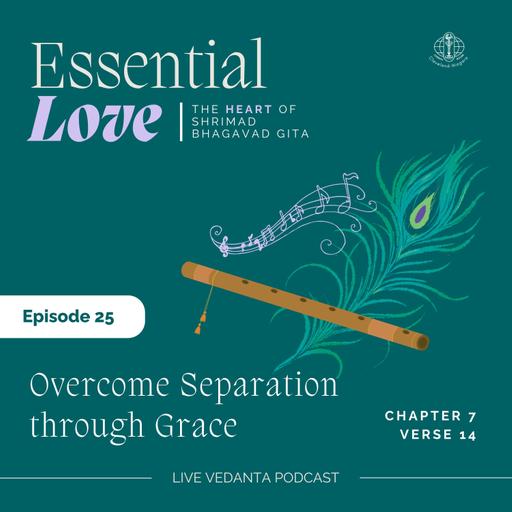 🧭 Overcome Separation through Grace | Essential Verse 25