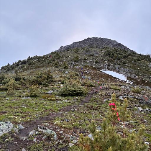 What's Next? Life Updates & the Future of Trail Running Women