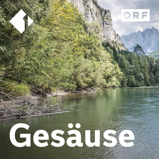 Nationalpark Gesäuse