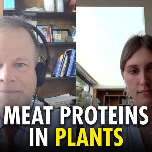 Meat Proteins in Plants