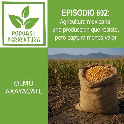 602 Agricultura mexicana, una producción que resiste, pero captura menos valor