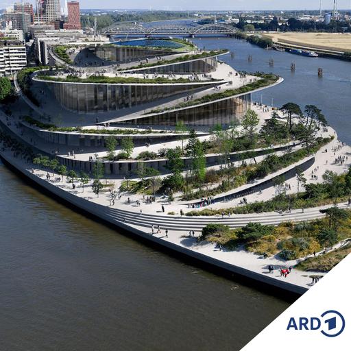 Nach Kühne-Tod: Architekten zu Opernplänen