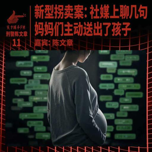 新型拐卖案：社媒上聊几句，妈妈们主动送出了孩子 | 刑警陈文章11