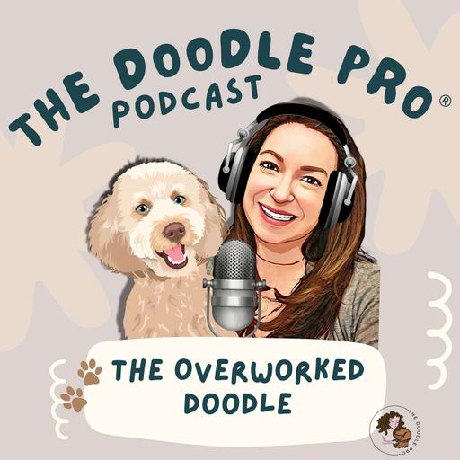 The Overworked Doodle: Why Your Doodle Never Stops Barking at the Window