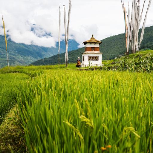 In Bhutan, the pursuit of happiness extends to the food system