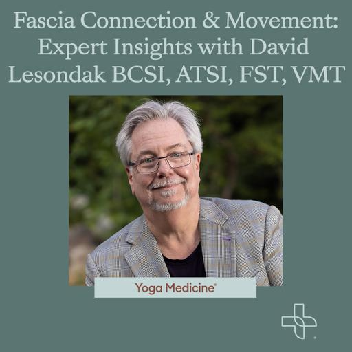 Fascia Connection & Movement: Expert Insights with David Lesondak BCSI, ATSI, FST, VMT