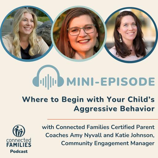 Where to Begin with Your Child’s Aggressive Behavior