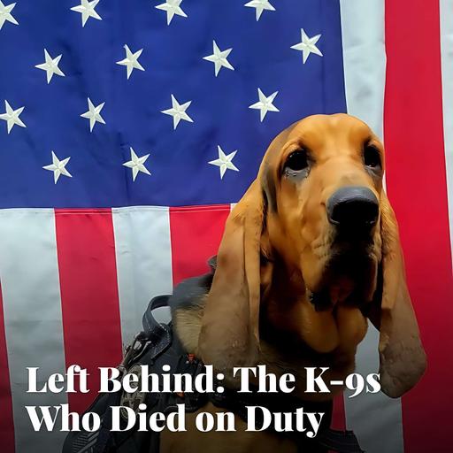 Left Behind: The K-9s Who Died on Duty