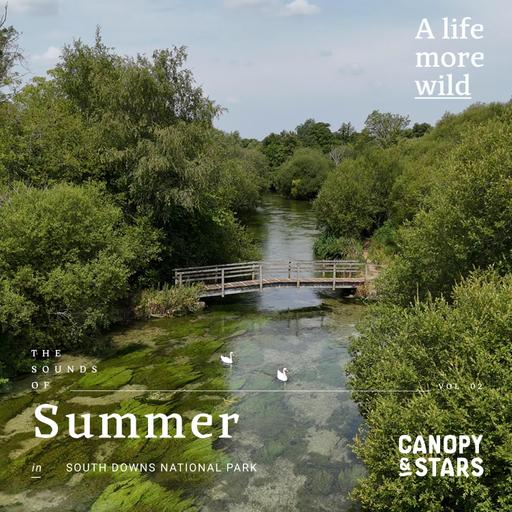 The Sounds of Summer in the South Downs