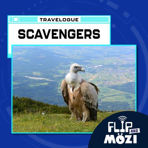 Travelpod: Scavengers
