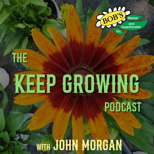 8.29.26 - Keep Harvesting