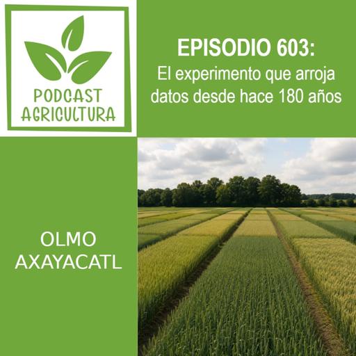 603 El experimento que arroja datos desde hace 180 años