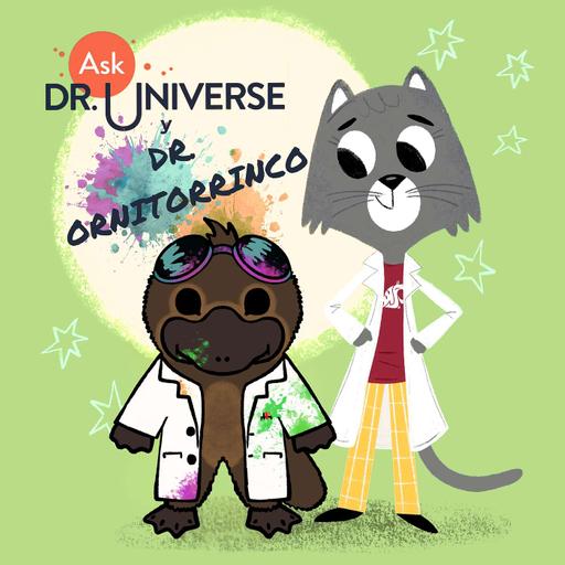 Tu Pregunta Paw-dre | ¿Qué pasa si te come un tiburón?