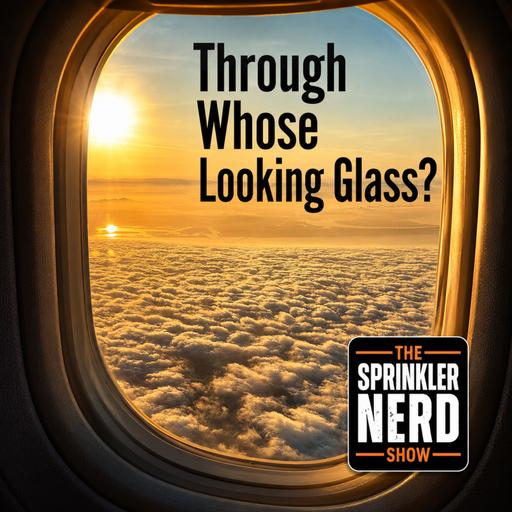 #211 - Through Whose Looking Glass?