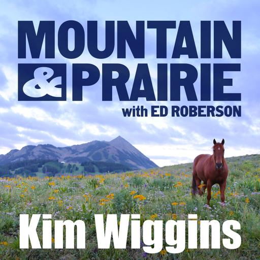 Kim Wiggins – The Courage to Be Original