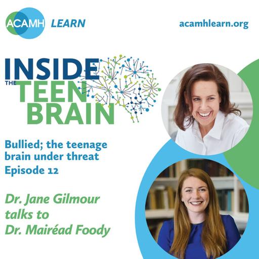 418: Bullied; the teenage brain under threat. An 'Inside the Teen Brain' podcast