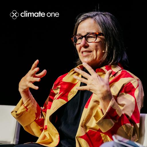 ENCORE: Protest and Beyond: Annie Leonard On What You Can Do