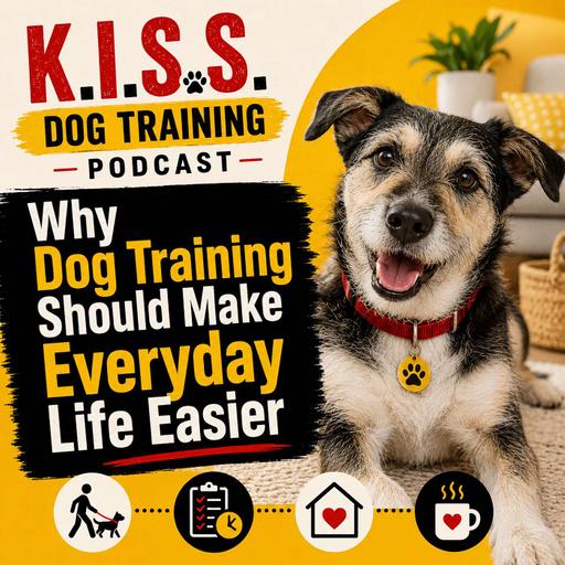 How the Right Dog Trainer Makes Everyday Life Easier