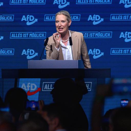 Trump & AfD - Ist der Faschismus zurück?
