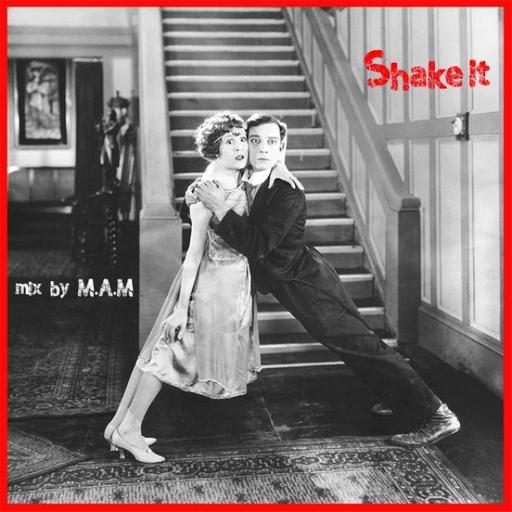 Shake It (Funky House / Dance & more)