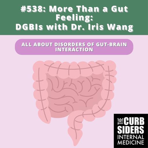 #538: More Than a Gut Feeling - DGBIs with Dr. Iris Wang