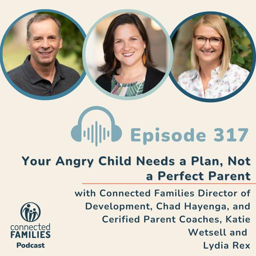 Your Angry Child Needs a Plan, Not a Perfect Parent