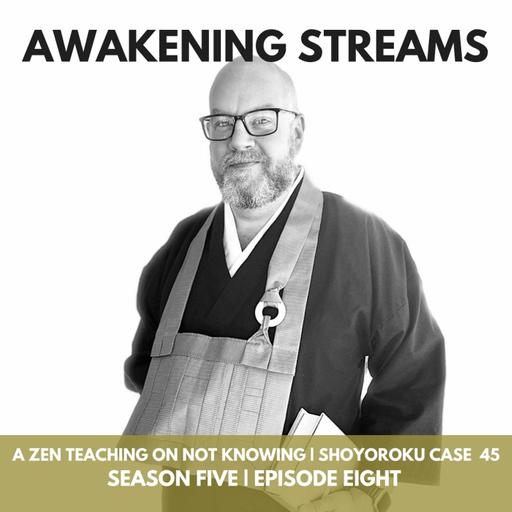 Stop Trying to Fix Yourself | A Zen Teaching on Not Knowing | Book of Equanimity 45