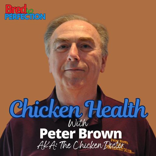 Ep301 - Building Stronger Bloodlines from the Inside Out