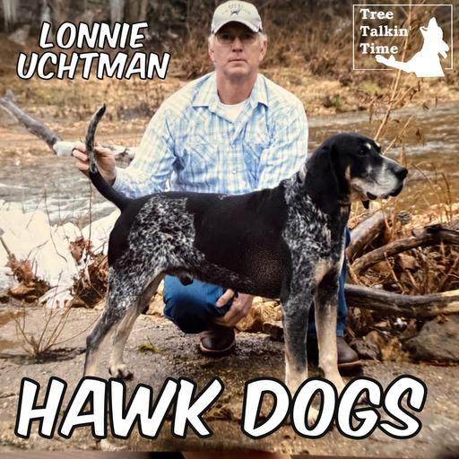 243. Hawk Dogs