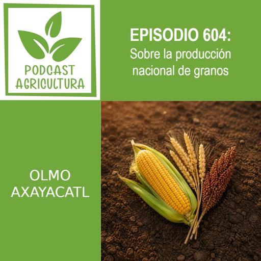 604 Sobre la producción nacional de granos