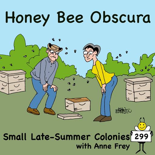 Small Late-Summer Colonies with Anne Frey (299)