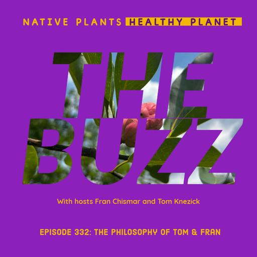The Buzz - The Philosophy of Tom and Fran