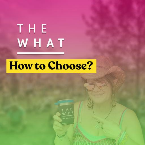After Bonnaroo: How to Choose Your Next Festival
