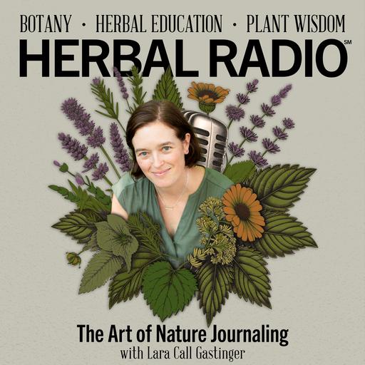 The Art of Nature Journaling | Featuring Lara Call Gastinger
