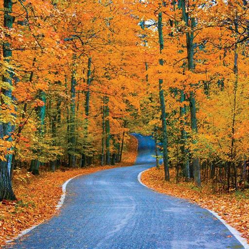 Episode 486 - It's Autumn, Sort of....