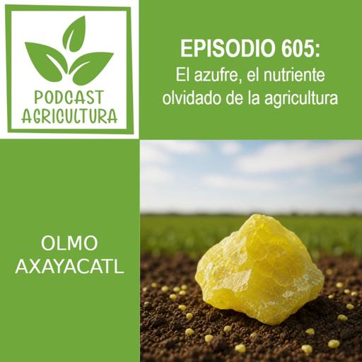 605 El azufre, el nutriente olvidado de la agricultura