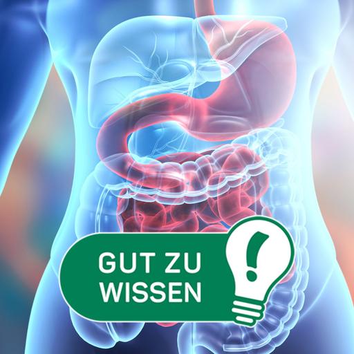 Der Darm als Drahtzieher: Was das Darmmikrobiom mit unserer Gesundheit zu tun hat