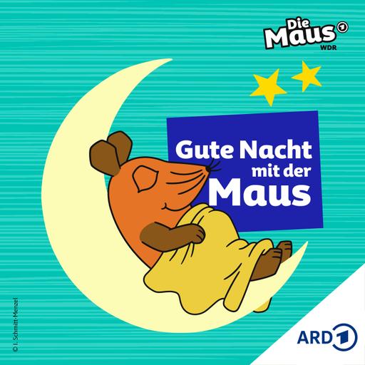Die Weltkarte soll genauer werden