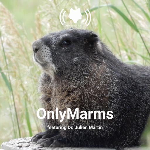 OnlyMarms Featuring Dr. Julien Martin