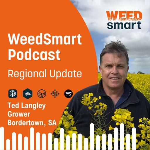 Regional Update - Ted Langley, Bordertown, SA